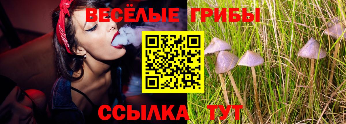 купить наркотики сайты  Вход с VPN  Ставрополь  Галлюциногенные грибы мухоморы 